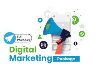 Digital Marketing (Fly Package)