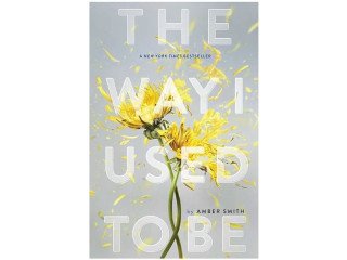 The Way I Used To Be by Amber Smith