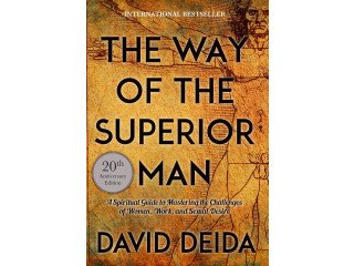 The Way of The Superior Man by David Deida