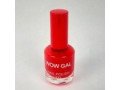 radiant-coats-nail-polish-shadecolor-94-small-0