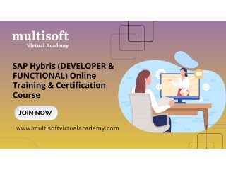 SAP Hybris (DEVELOPER & FUNCTIONAL) Online Training & Certification Course